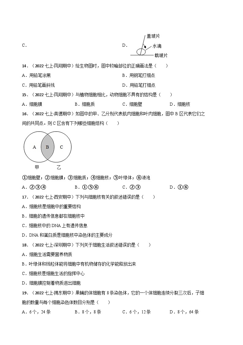 【期中模拟】（人教版）2023-2024学年七年级生物上册 期中热身卷（三）（原卷版）第3页
