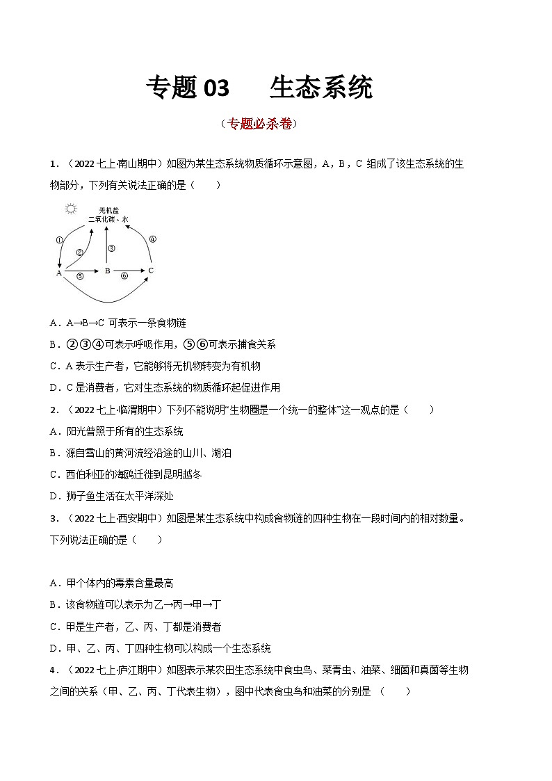 【期中真题】（人教版）2023-2024学年七年级生物上册 期中真题分类专题汇编 专题03生态系统-试卷.zip01