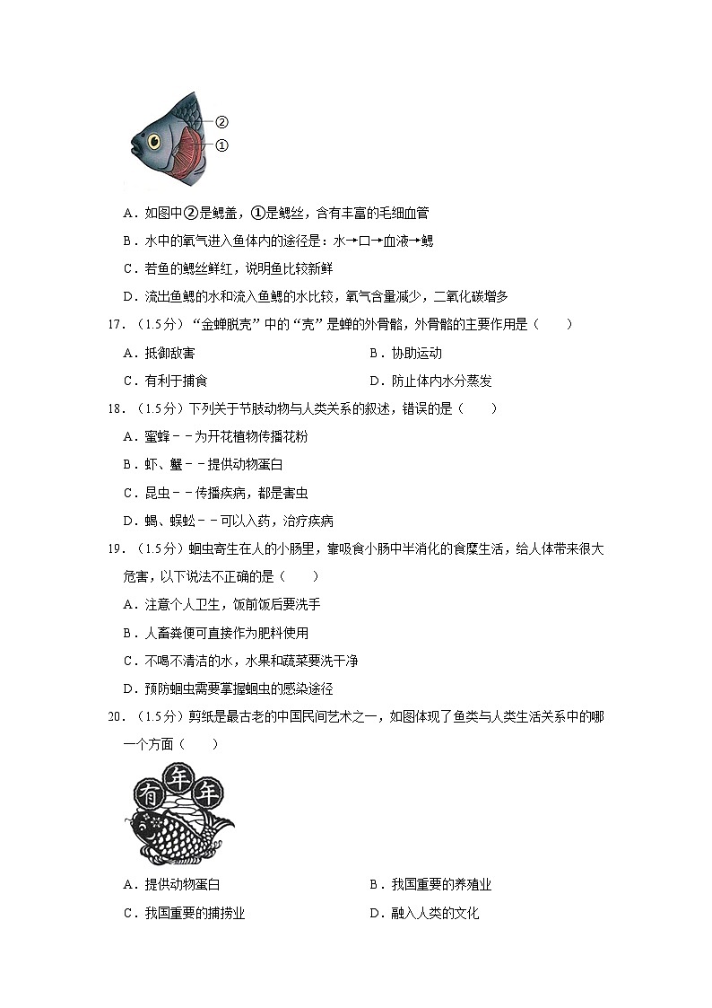 甘肃省陇南市礼县六中2023-2024学年八年级上学期第一次月考生物试卷第3页