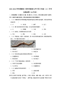 福建省三明市尤溪县七中片区2023-2024学年八年级上学期10月份月考生物试卷