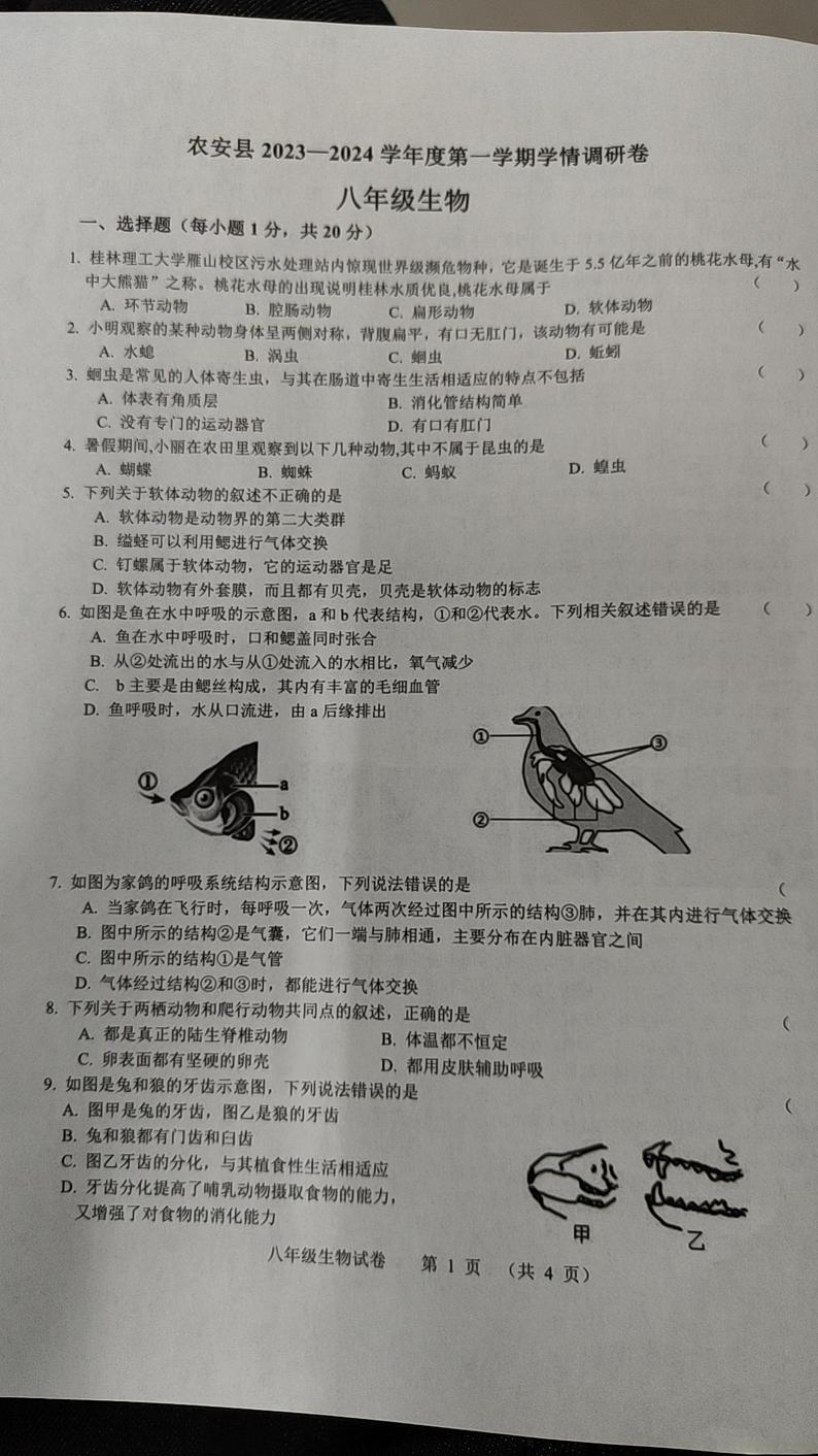 吉林省长春市农安县2023一2024学年八年级上学期期中学情调研生物试题第1页