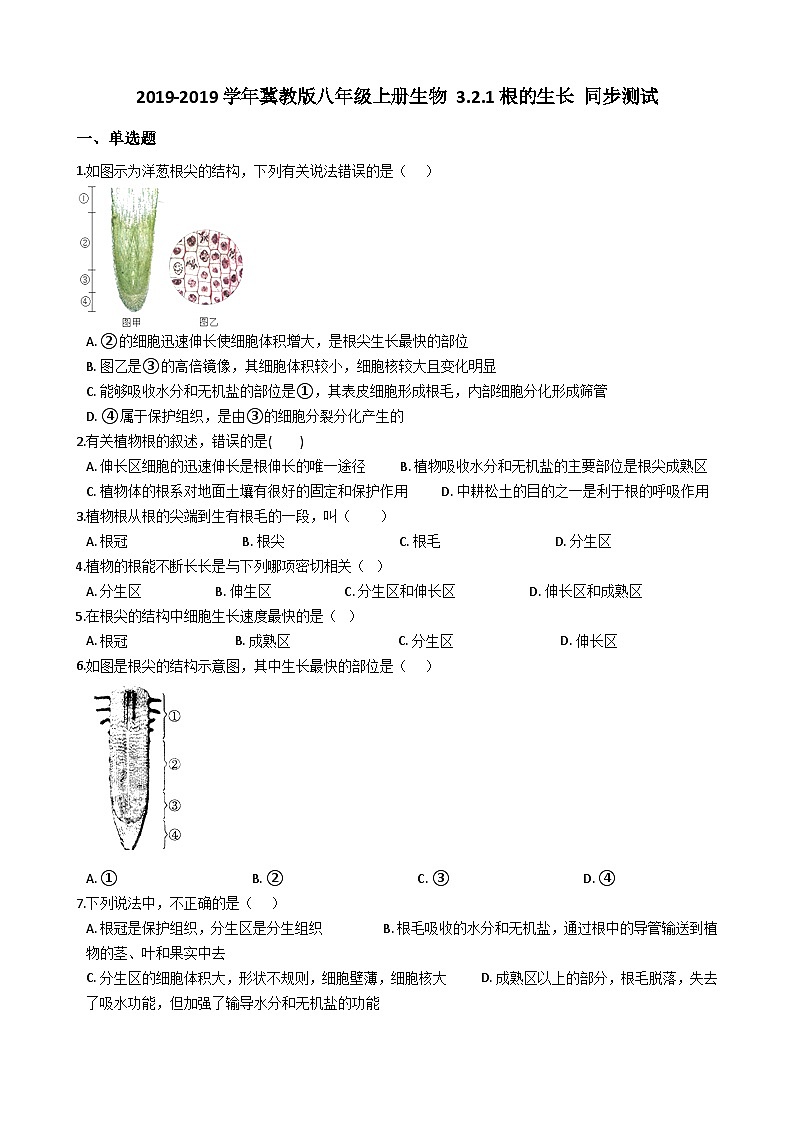 冀教版八年级上册生物 3.2.1根的生长 同步测试与解析01
