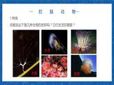 5.1.1+腔肠动物和扁形动物-2023-2024学年八年级生物上学期同步精品课件（人教版）  