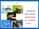 5.1.4+鱼-2023-2024学年八年级生物上学期同步精品课件（人教版） 