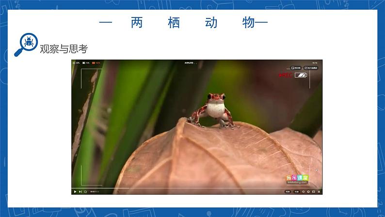 5.1.5+两栖动物和爬行动物-2023-2024学年八年级生物上学期同步精品课件（人教版）05