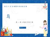 5.1.6+鸟-2023-2024学年八年级生物上学期同步精品课件（人教版）  