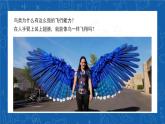 5.1.6+鸟-2023-2024学年八年级生物上学期同步精品课件（人教版）  
