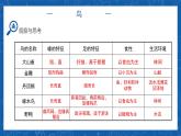 5.1.6+鸟-2023-2024学年八年级生物上学期同步精品课件（人教版）  