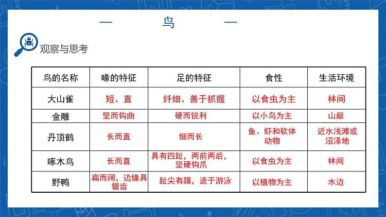 5.1.6+鸟-2023-2024学年八年级生物上学期同步精品课件（人教版）  第5页