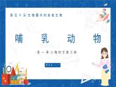 5.1.7+哺乳动物-2023-2024学年八年级生物上学期同步精品课件（人教版） 