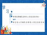 5.1.7+哺乳动物-2023-2024学年八年级生物上学期同步精品课件（人教版） 