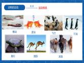 5.2.1+动物的运动-2023-2024学年八年级生物上学期同步精品课件（人教版）  
