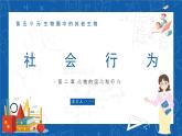 5.2.3+社会行为-2023-2024学年八年级生物上学期同步精品课件（人教版）  