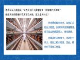 5.4.1+细菌和真菌的分布-2023-2024学年八年级生物上学期同步精品课件（人教版）  