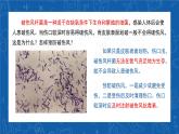 5.4.2+细菌-2023-2024学年八年级生物上学期同步精品课件（人教版）