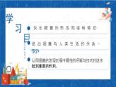 5.4.2+细菌-2023-2024学年八年级生物上学期同步精品课件（人教版）