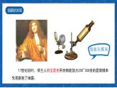 5.4.2+细菌-2023-2024学年八年级生物上学期同步精品课件（人教版）