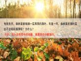 5.4.4+细菌和真菌在自然界中的作用-2023-2024学年八年级生物上学期同步精品课件（人教版）
