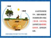5.4.4+细菌和真菌在自然界中的作用-2023-2024学年八年级生物上学期同步精品课件（人教版）