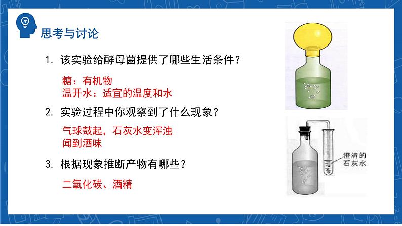 5.4.5+人类对细菌和真菌的利用-2023-2024学年八年级生物上学期同步精品课件（人教版）第5页