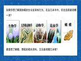 6.1.1+尝试对生物进行分类-2023-2024学年八年级生物上学期同步精品课件（人教版）