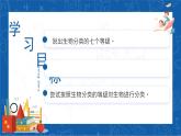 6.1.2+从种到界-2023-2024学年八年级生物上学期同步精品课件（人教版）