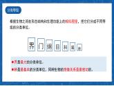 6.1.2+从种到界-2023-2024学年八年级生物上学期同步精品课件（人教版）