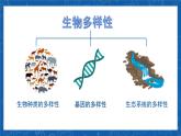 6.2+認識生物的多樣性-2023-2024學年八年級生物上學期同步精品課件（人教版）
