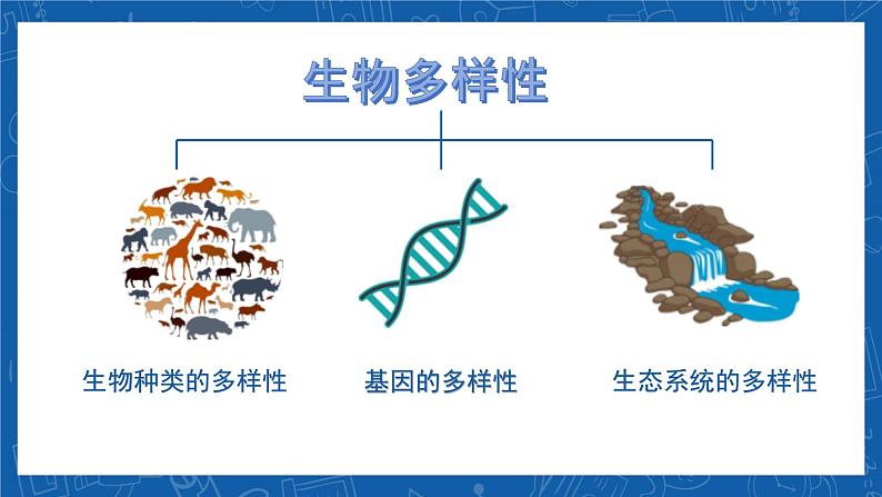 6.2+认识生物的多样性-2023-2024学年八年级生物上学期同步精品课件（人教版）04