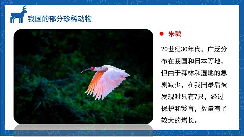 6.3+保护生物的多样性-2023-2024学年八年级生物上学期同步精品课件（人教版）第5页