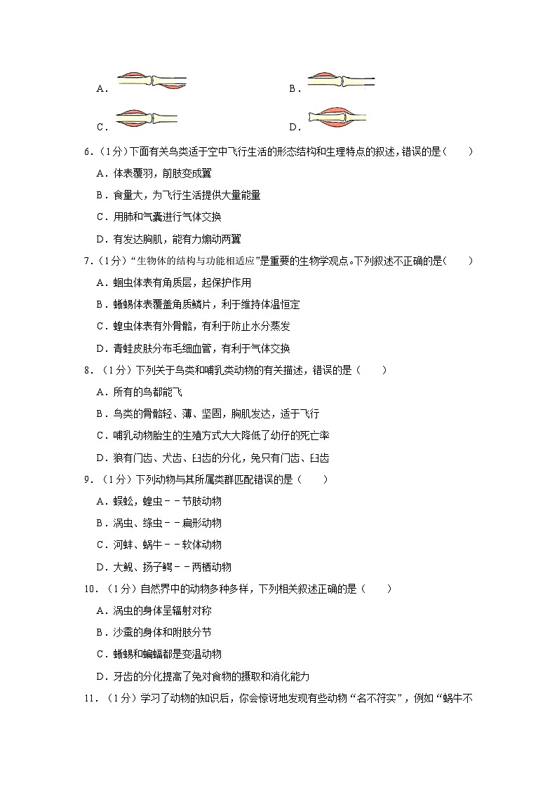 甘肃省陕西师范大学平凉实验中学2023-2024学年八年级上学期第一次月考生物试卷02