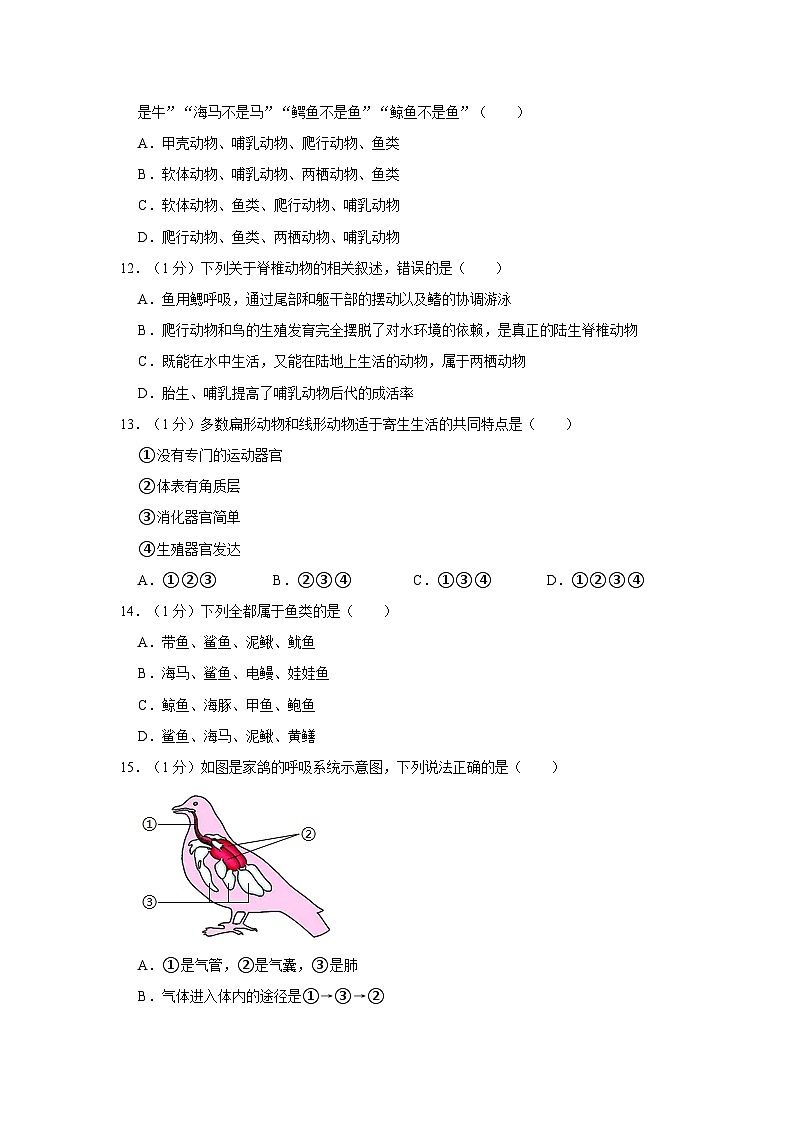 甘肃省陕西师范大学平凉实验中学2023-2024学年八年级上学期第一次月考生物试卷03