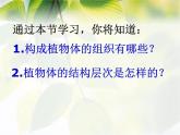 2.2.3《植物体的结构层次》课件人教版生物七年级上册