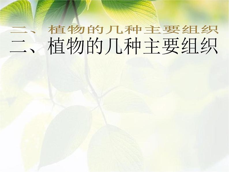 2.2.3《植物体的结构层次》课件人教版生物七年级上册08