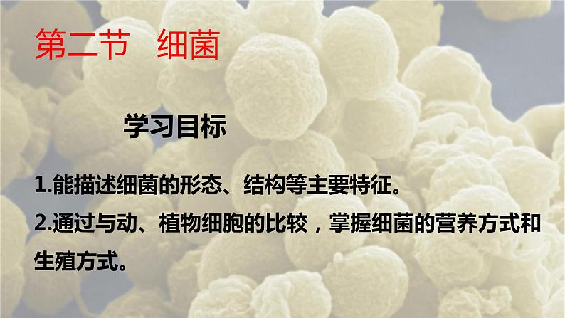 4.2《细菌》课件人教版八年级生物上册第3页