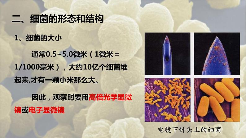 4.2《细菌》课件人教版八年级生物上册第8页