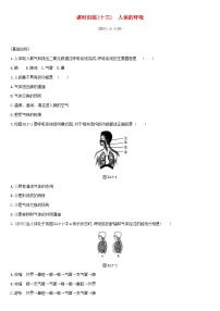 中考生物专题复习四生物圈中的人课时训练13人体的呼吸