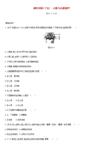 中考生物专题复习四生物圈中的人课时训练15心脏与血液循环