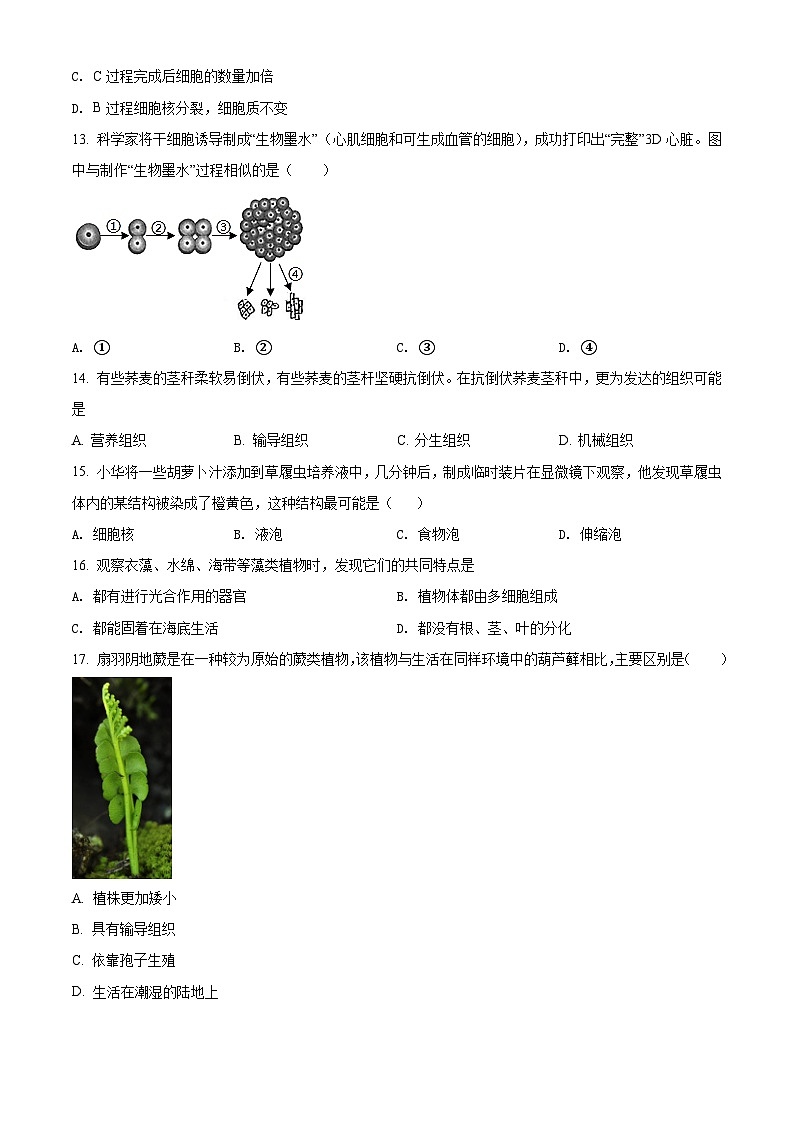 精品解析：河南省郑州市第八中学2021-2022学年七年级上学期期末生物试题03