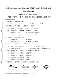 广东省深圳市龙华区万安学校2021-2022学年八年级上学期期末生物试题