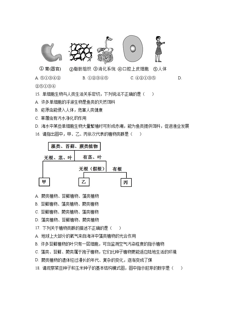 广东省广州市海珠区2021-2022学年七年级上学期期末生物试题（原卷版）03