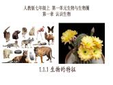 1.1.1+生物的特征-【精华备课】2023-2024学年七年级生物上册同步教学课件（人教版）