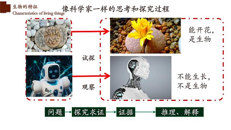 1.1.1+生物的特征-【精华备课】2023-2024学年七年级生物上册同步教学课件（人教版）06