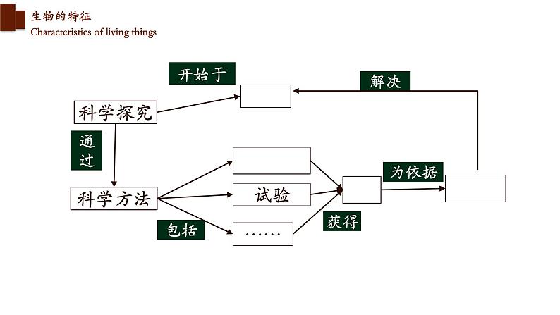 1.1.1+生物的特征-【精华备课】2023-2024学年七年级生物上册同步教学课件（人教版）07