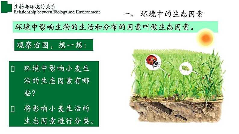 1.2.1+生物与环境的关系+（第一课时）-【精华备课】2023-2024学年七年级生物上册同步教学课件（人教版）03