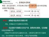 1.2.2+生物与环境组成生态系统（第二课时）-【精华备课】2023-2024学年七年级生物上册同步教学课件（人教版）