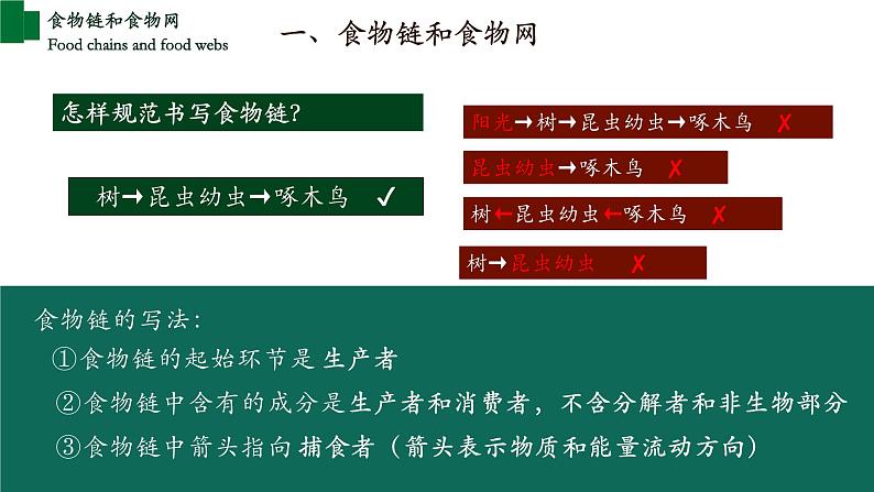 1.2.2+生物与环境组成生态系统（第二课时）-【精华备课】2023-2024学年七年级生物上册同步教学课件（人教版）06