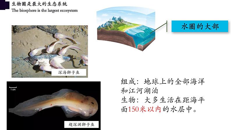 1.2.3+生物圈是最大的生态系统-【精华备课】2023-2024学年七年级生物上册同步教学课件（人教版）07