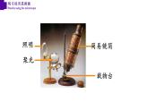 2.1.1+练习使用显微镜-【精华备课】2023-2024学年七年级生物上册同步教学课件（人教版）