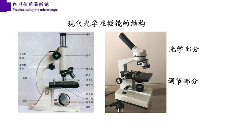 2.1.1 练习使用显微镜第7页